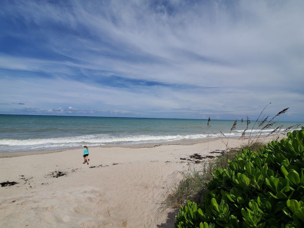 Turtle Trail Beach Access