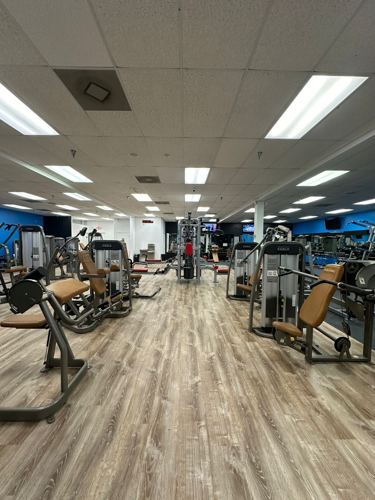 Velocity 1 Gym
