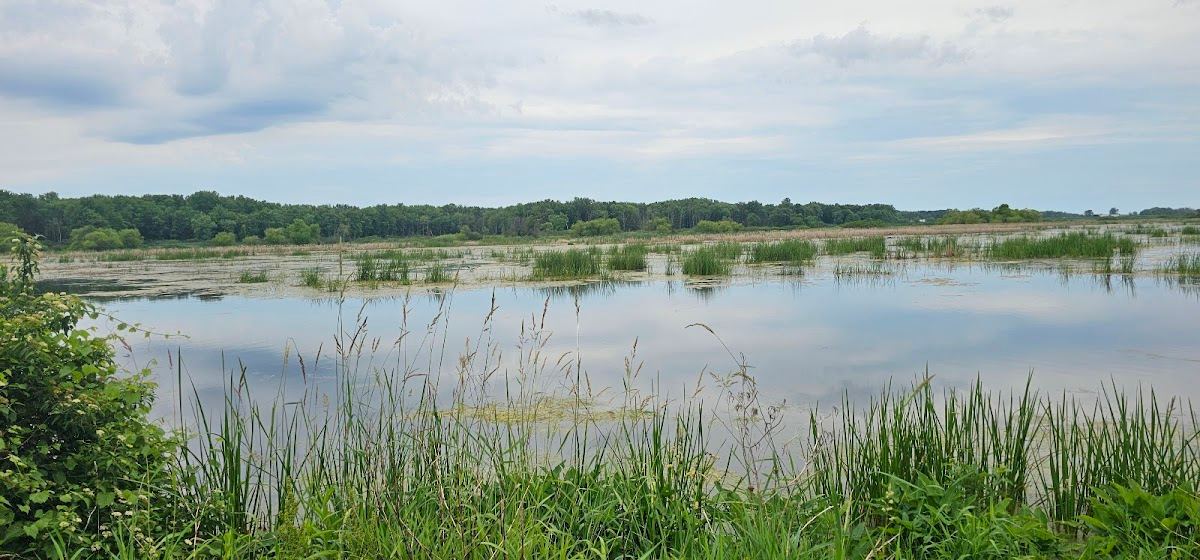 Maple River State Game Area
