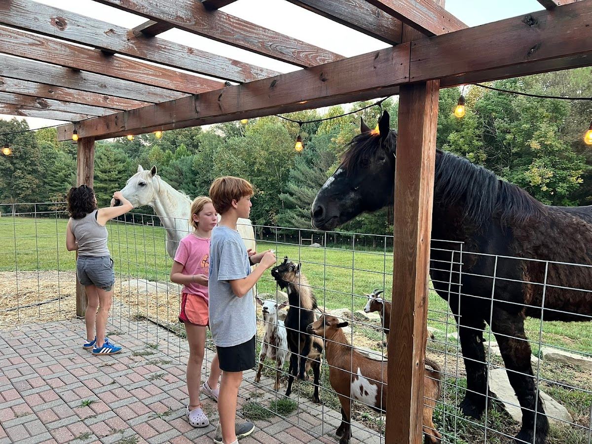 Graze & Gather Farm Experience