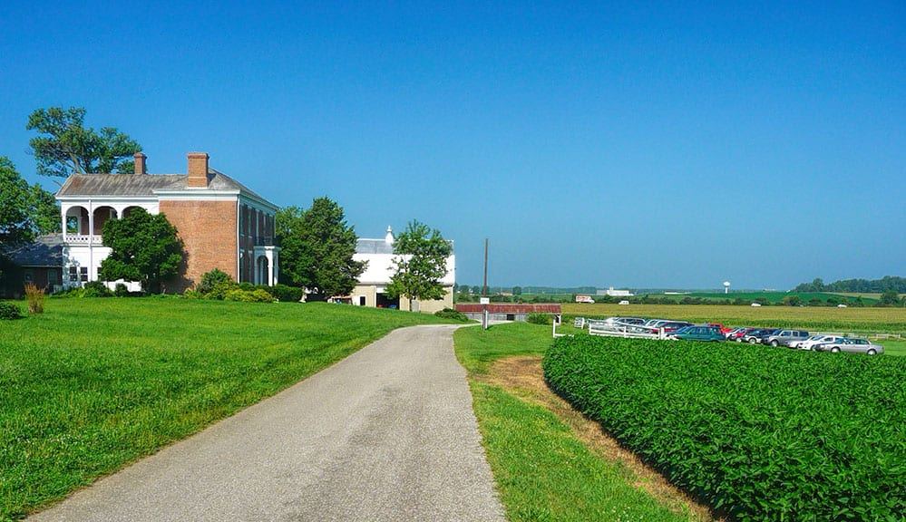 Henry Breeding Farm