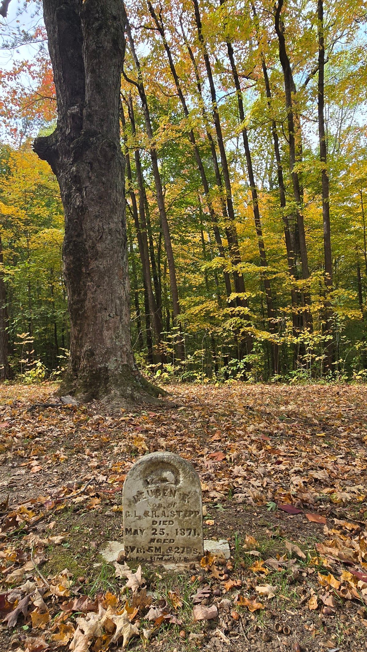 Stepp Cemetery