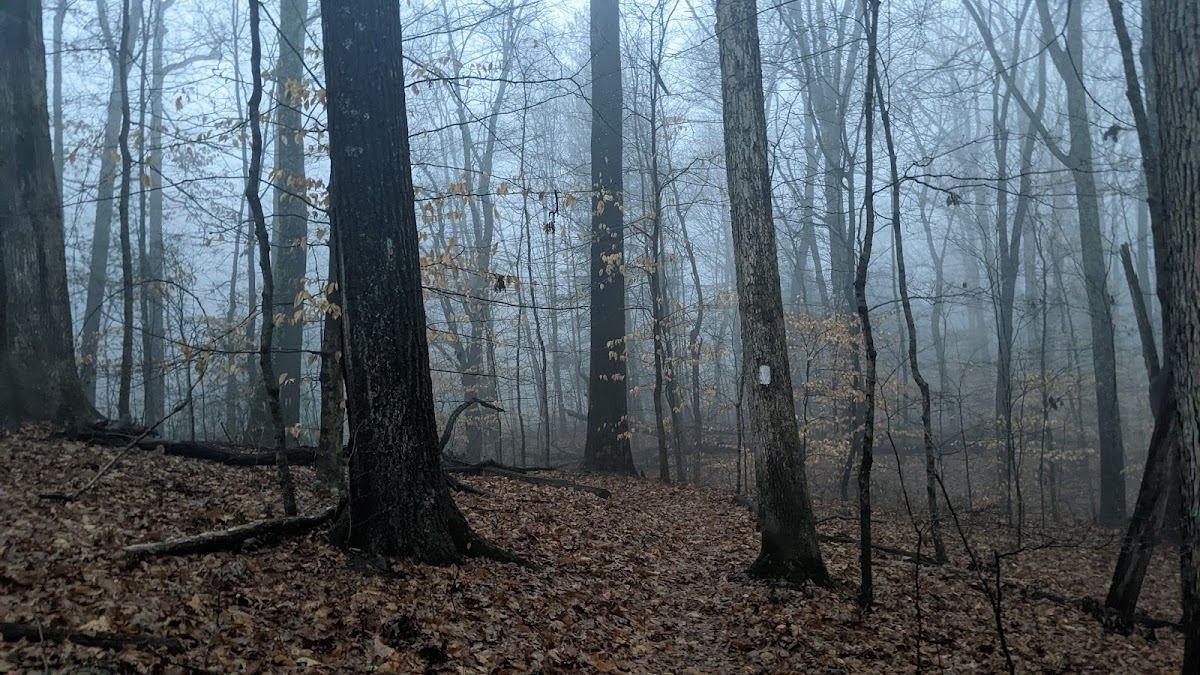 Tangeman Woods and Outdoor Lab