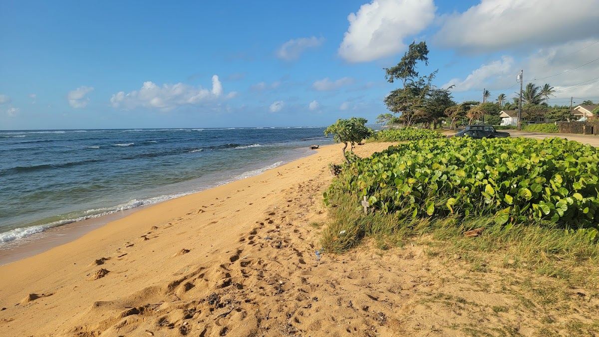Baby baby beach