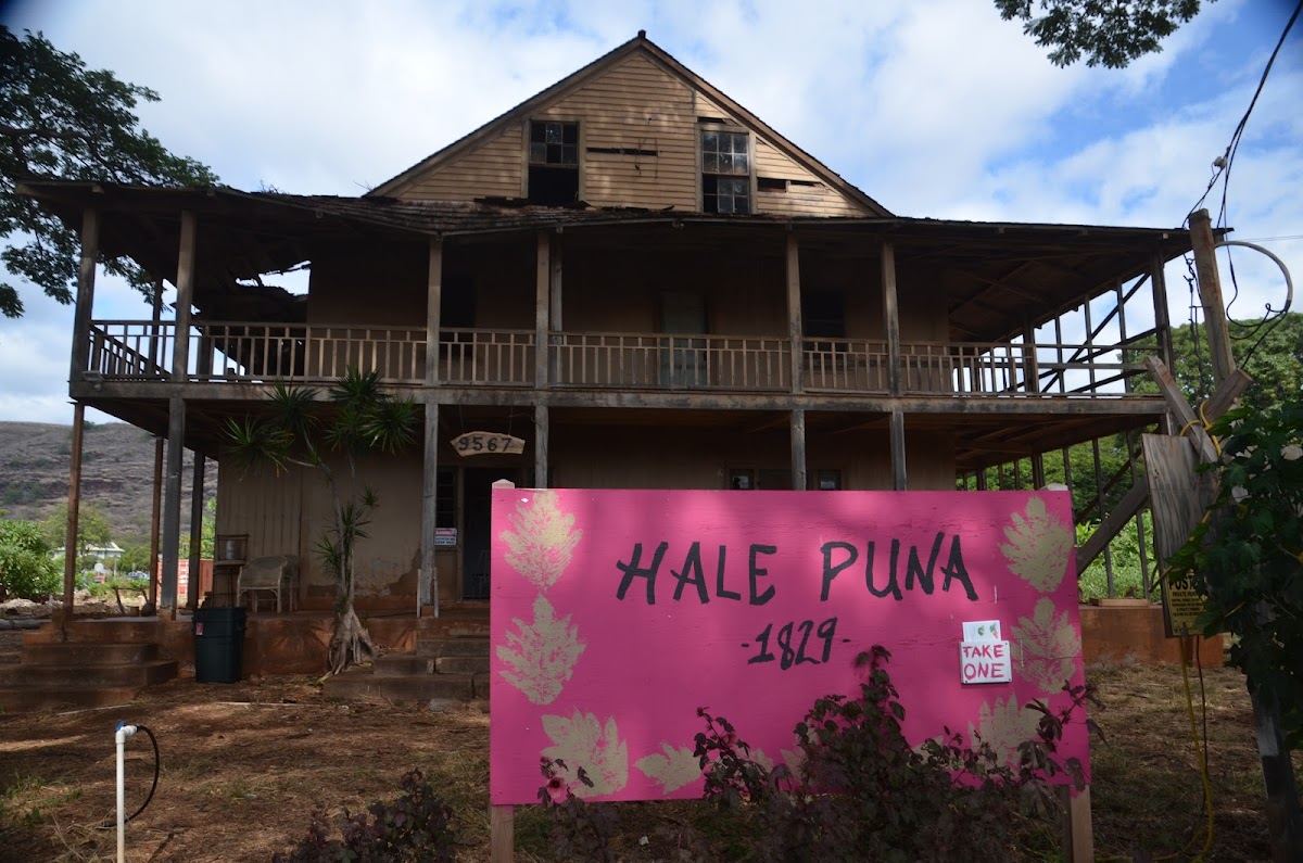 Hale Puna