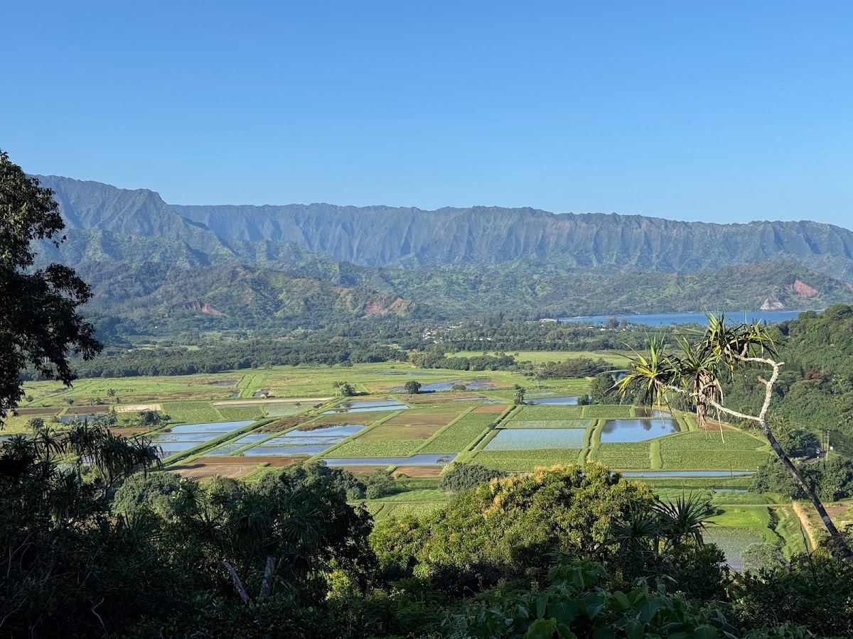 Hanalei National Wildlife Refuge Viewpoint