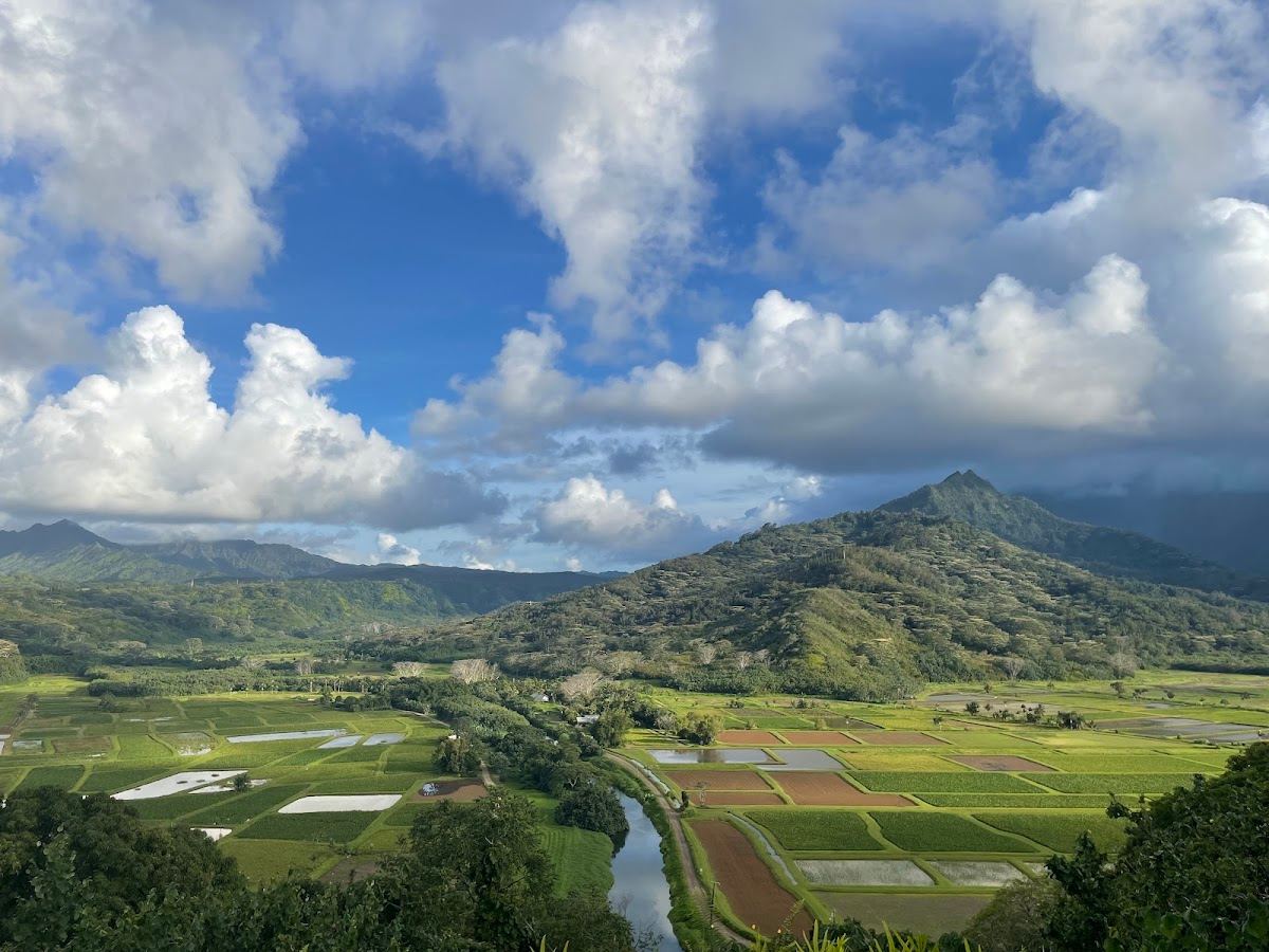 Hanalei Valley Lookout