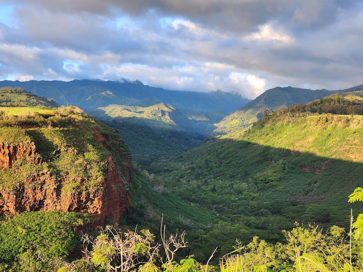 Hanapepe Valley Lookout