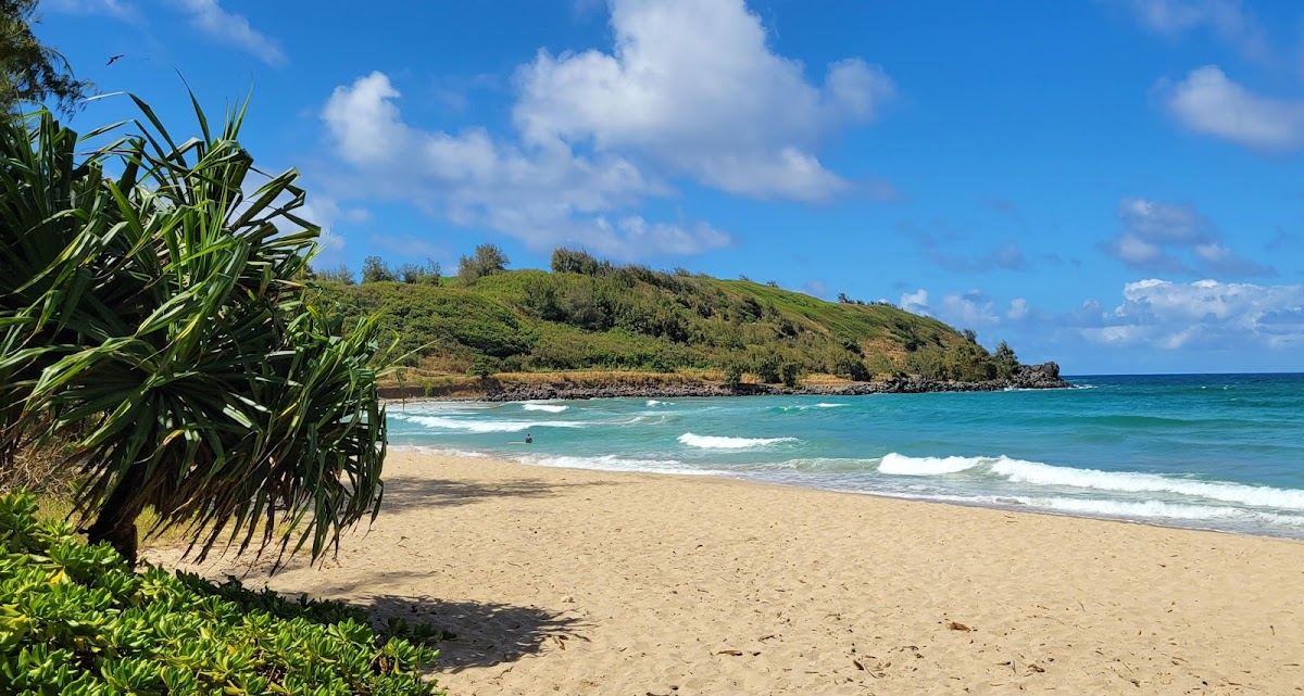 Kāhili Beach Preserve
