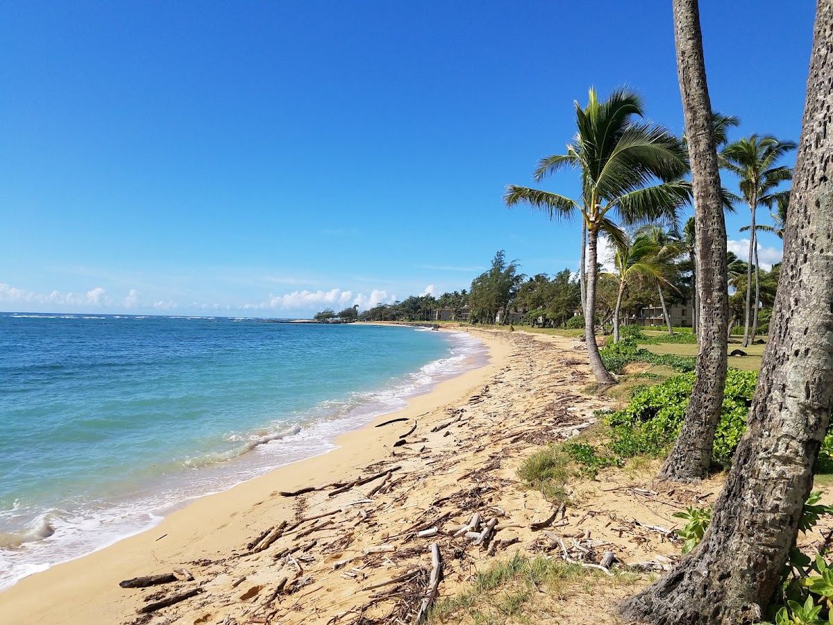 Kapa'a Beach Park