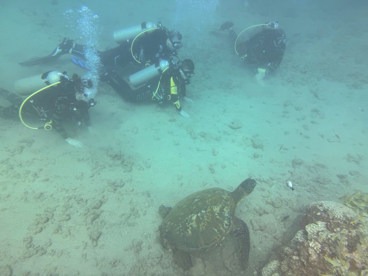 Kauai Scuba Adventures