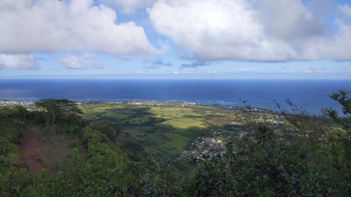 Kuamo'o Nounou Trail
