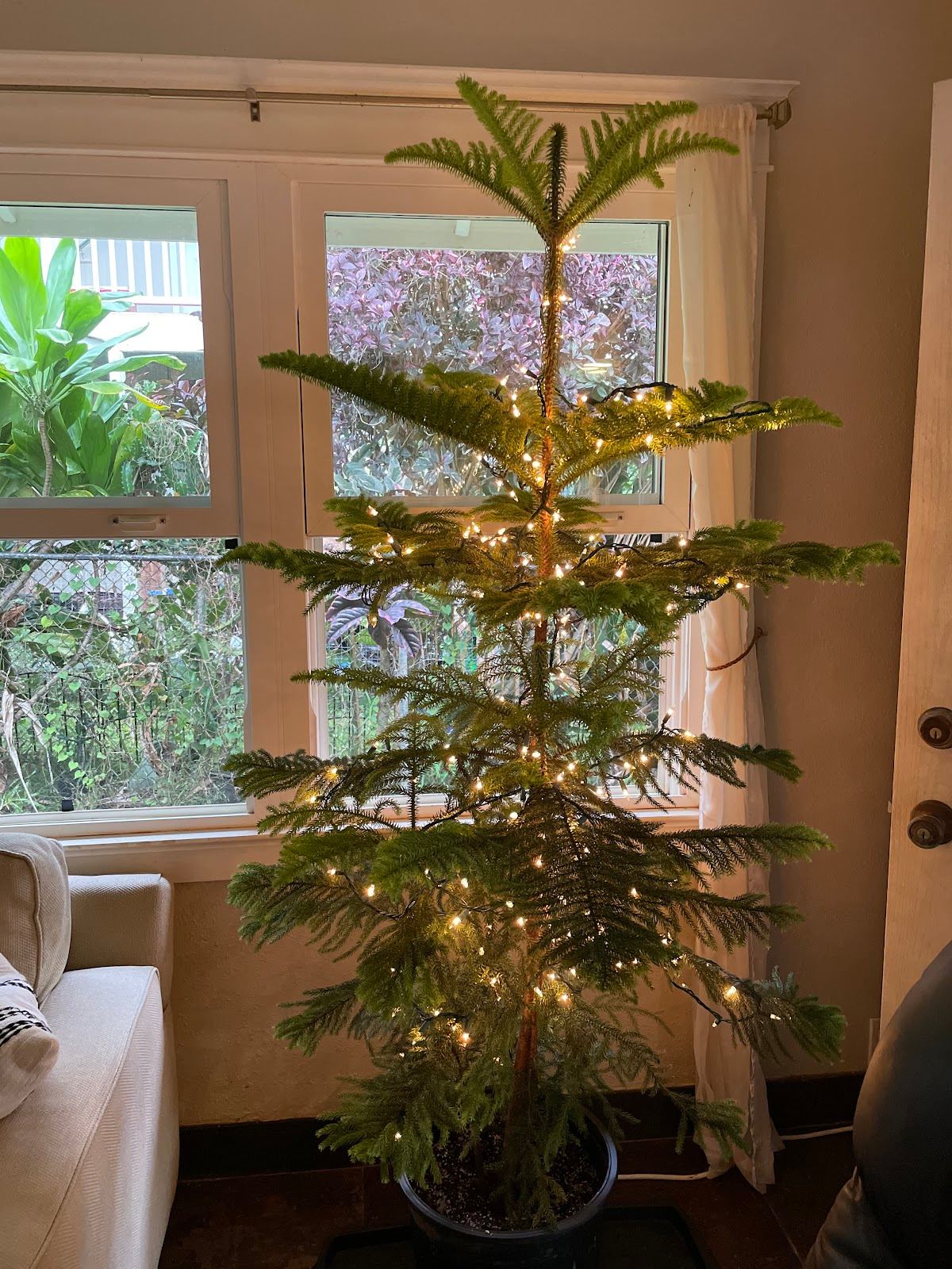 Makaleha Nursery LLC