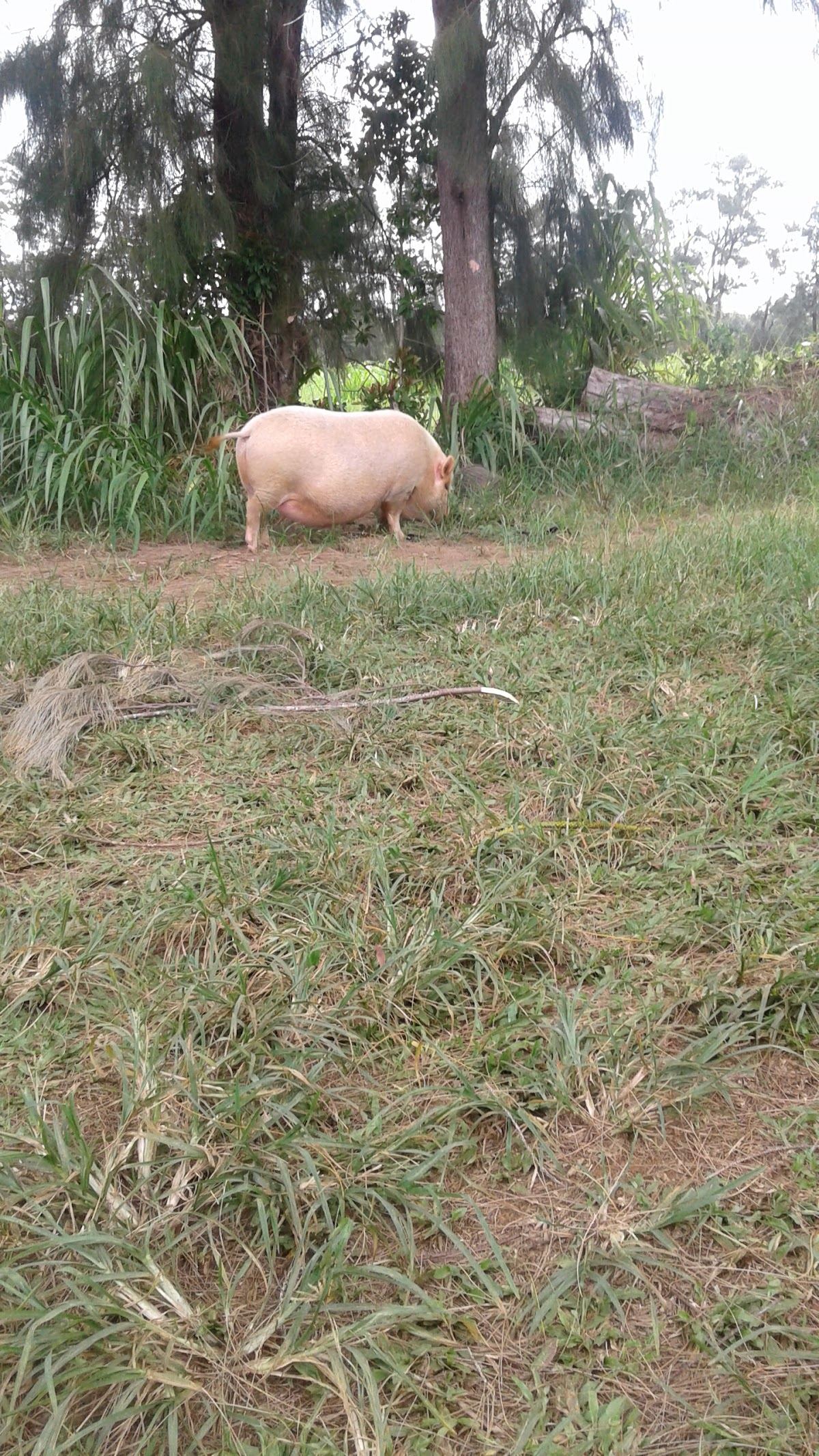 Malama Kauai