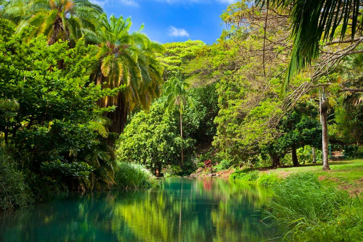 McBryde & Allerton Garden, National Tropical Botanical Garden