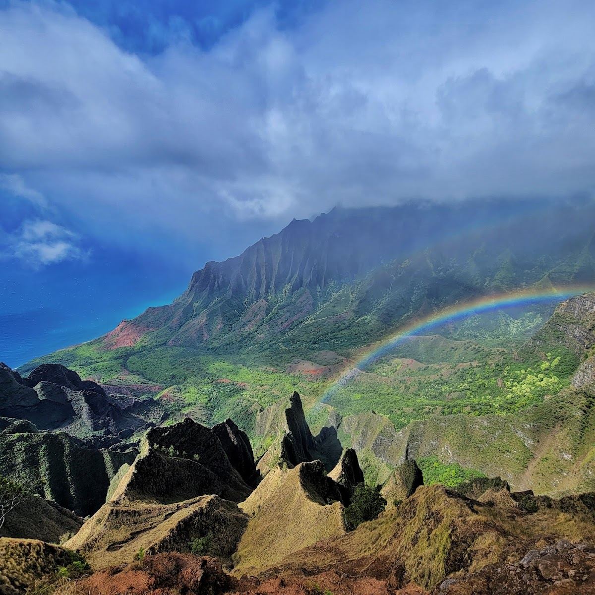 Na Pali-Kona Forest Reserve