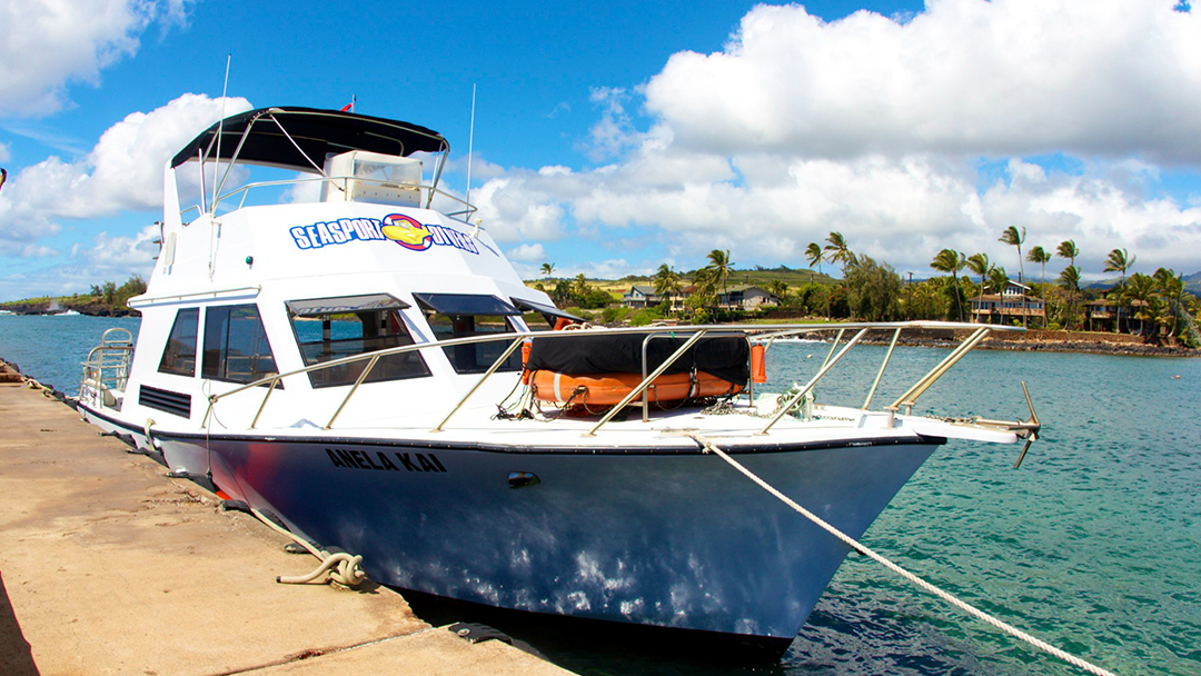 Seasport Divers