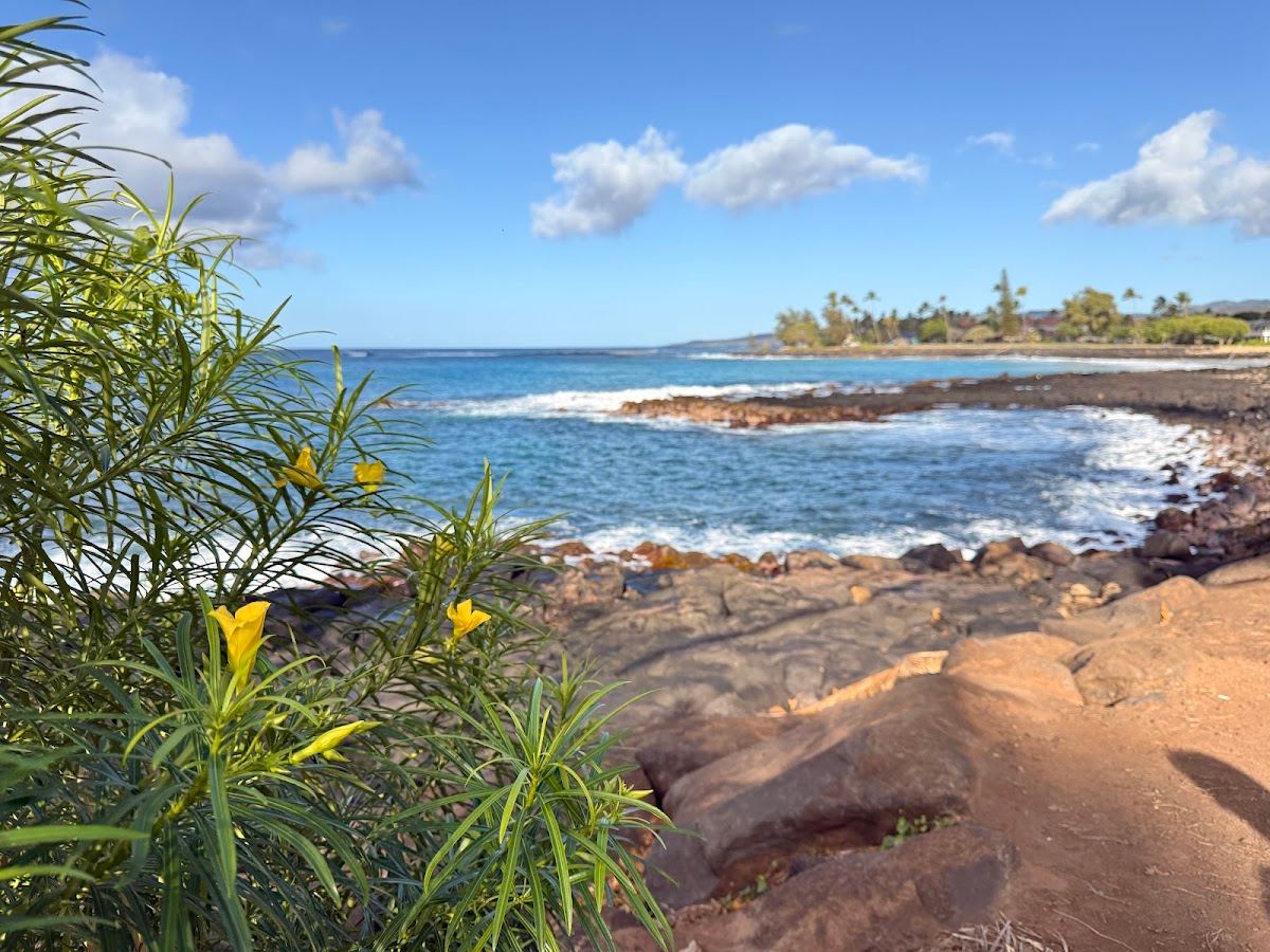 Shoreline Rocks