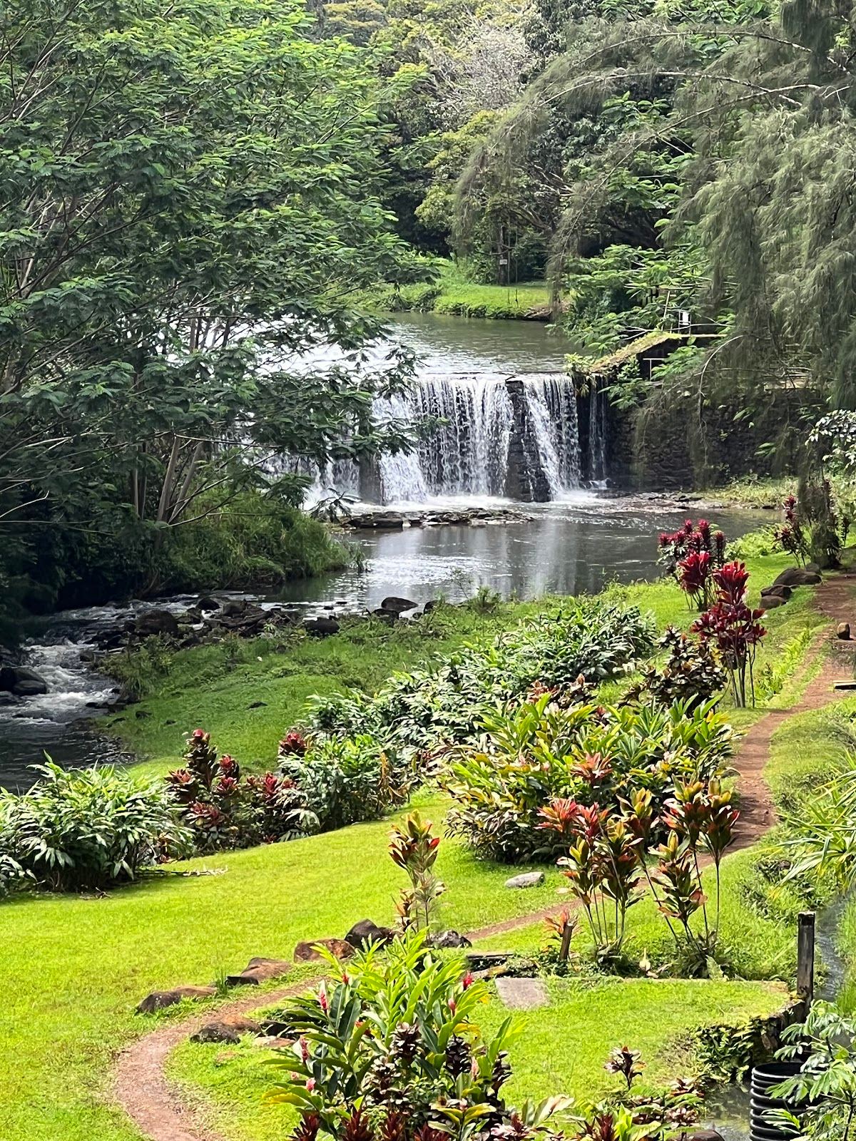 Wai Koa Loop Trail