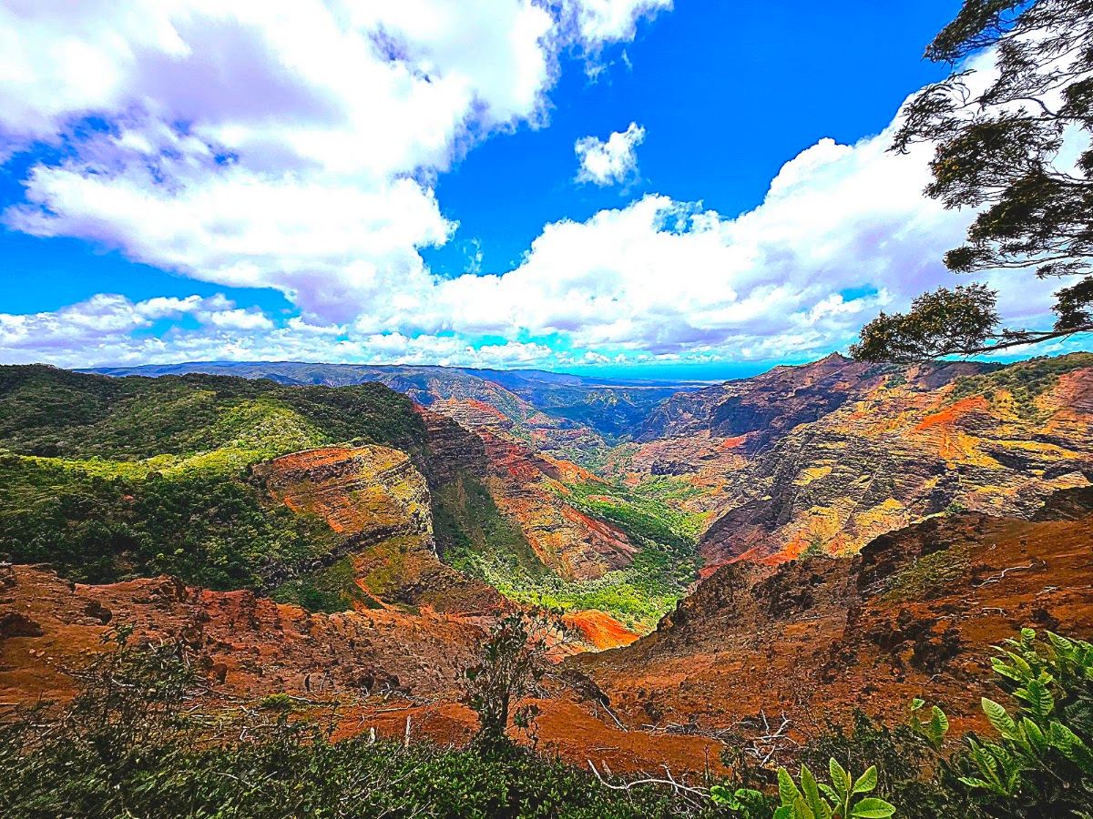 Waimea Canyon Trail