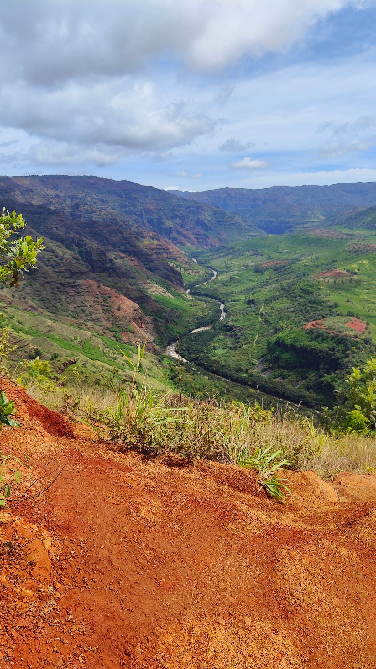 Waimea River Lookout
