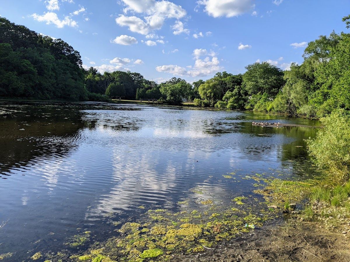Ambrose Park