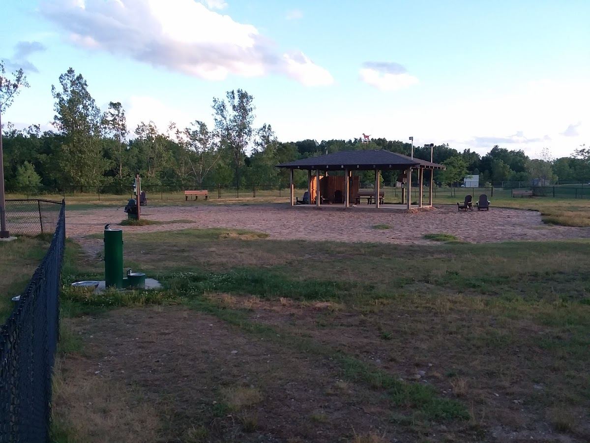 Animal Hospital of Lowell Dog Park