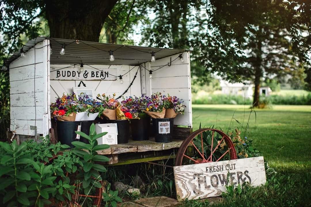 Buddy & Bean Flower Farm