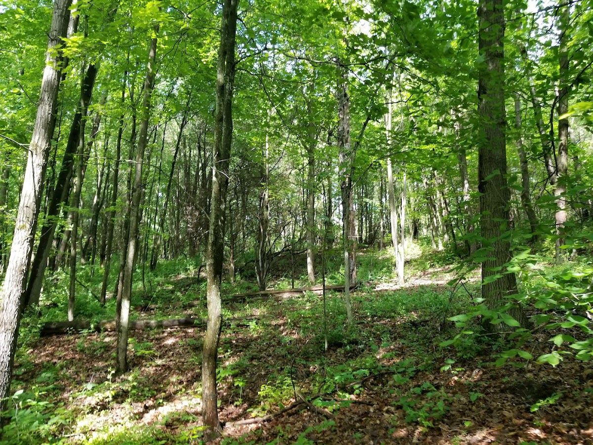 Cascade Peace Park