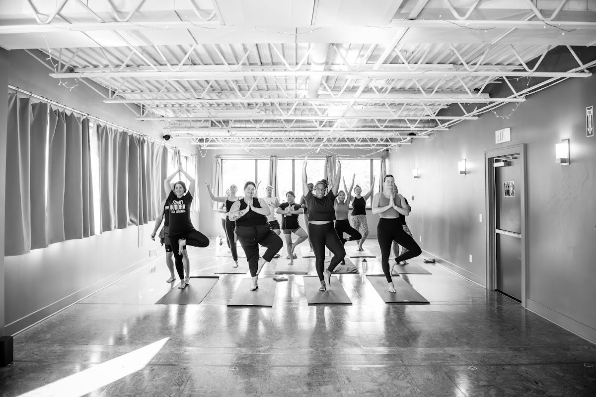Funky Buddha Yoga Hothouse