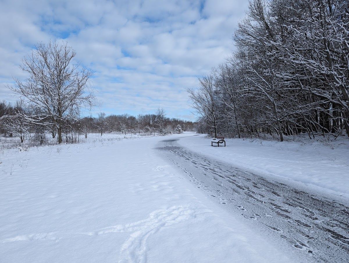 Gezon Park