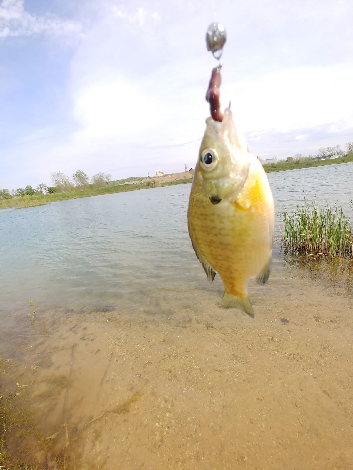 Grand River Open Space
