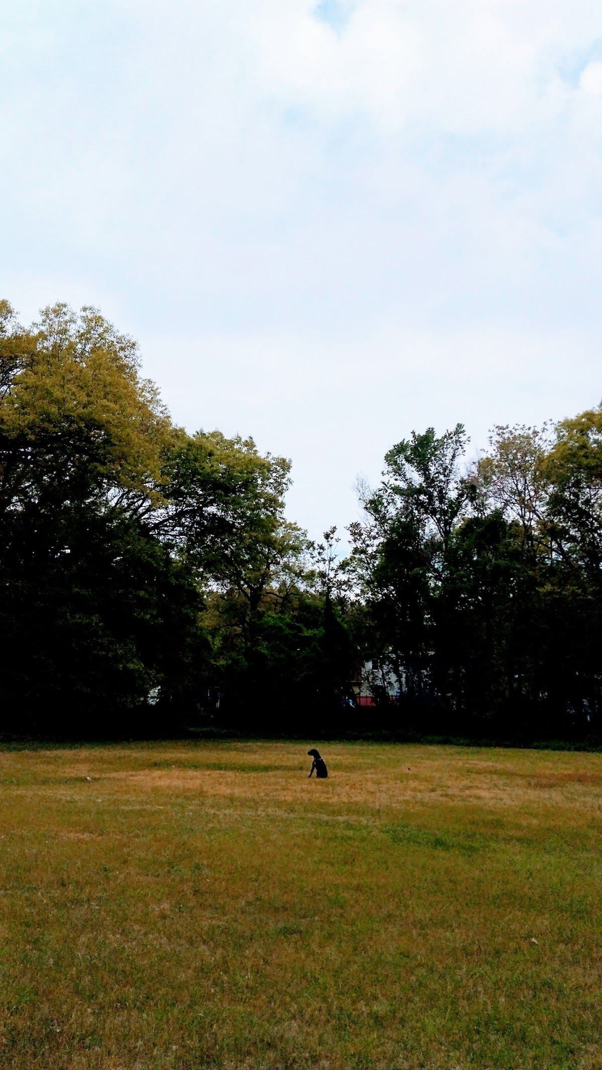 Lions Park