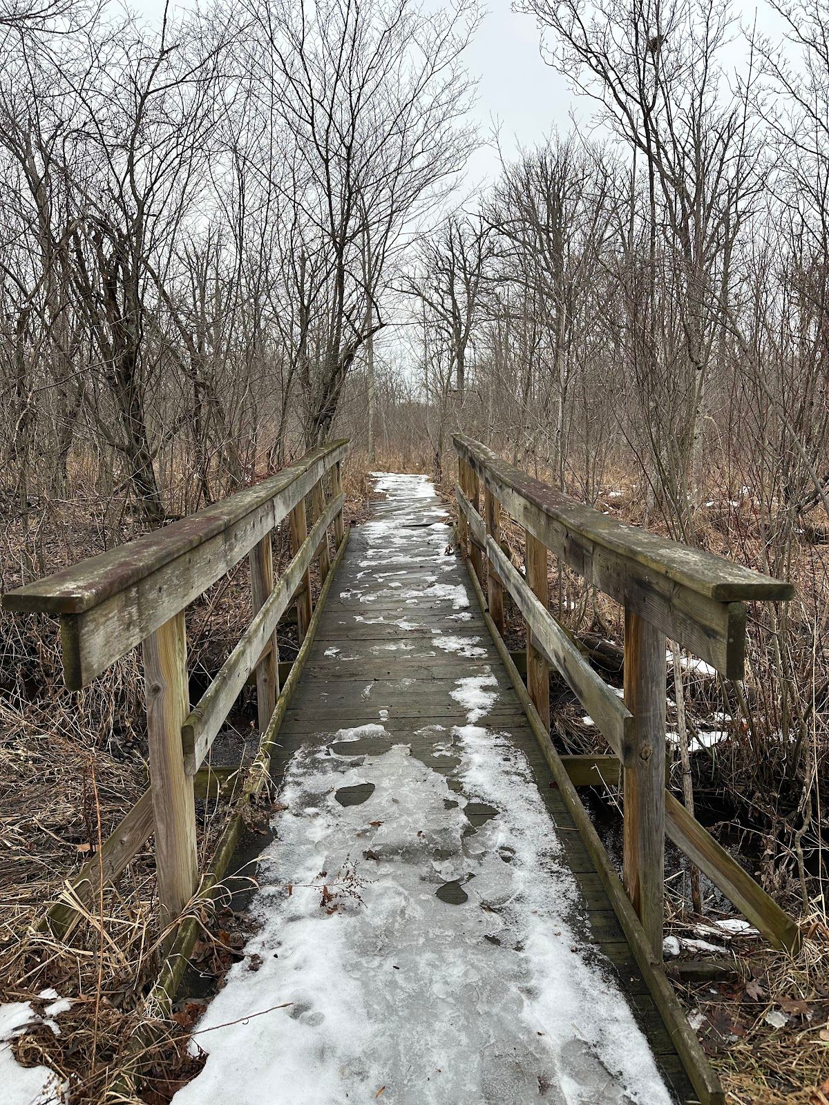 Maher Audubon Sanctuary
