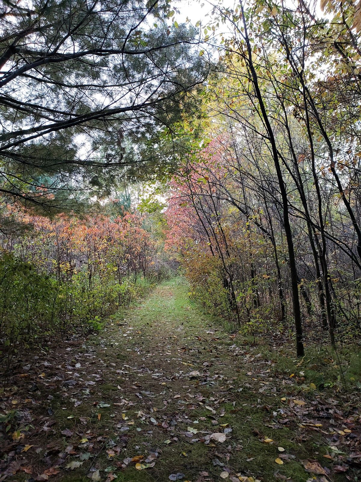 Ody Brook Nature Sanctuary