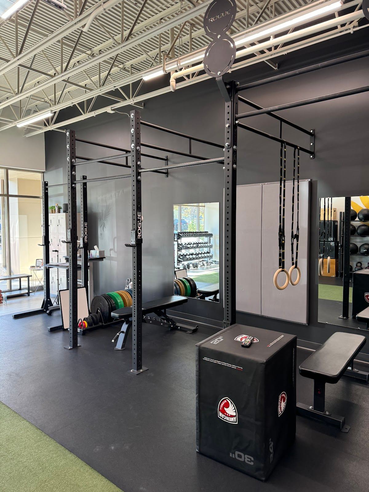 Phoenix Training & Nutrition