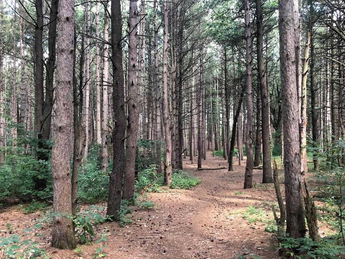 Provin Trails Park