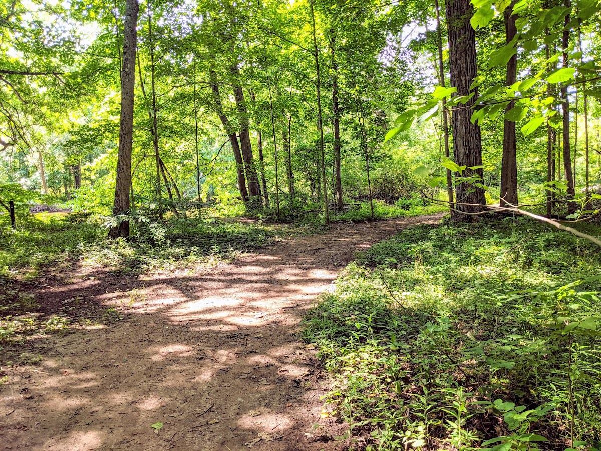 Rogue River Park