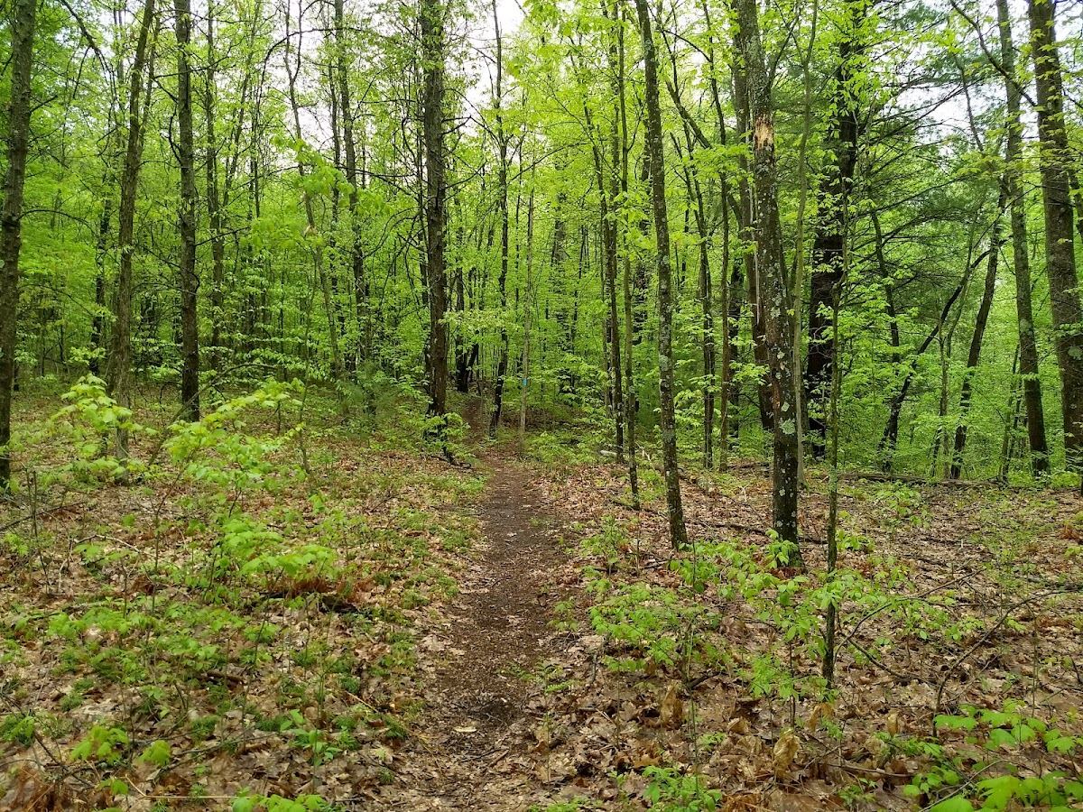 Rogue River State Game Area