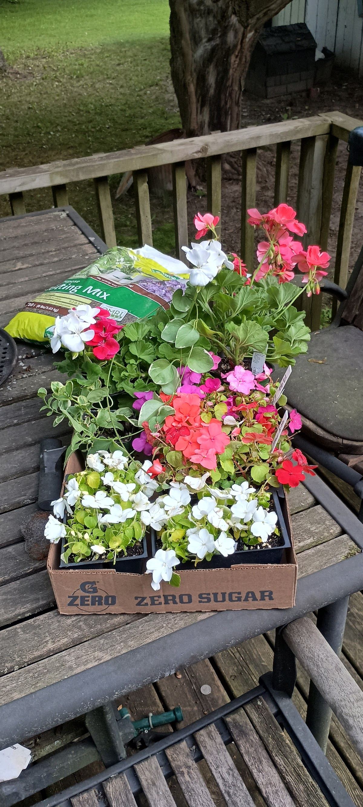 Rosebud's Nursery and Landscape Center