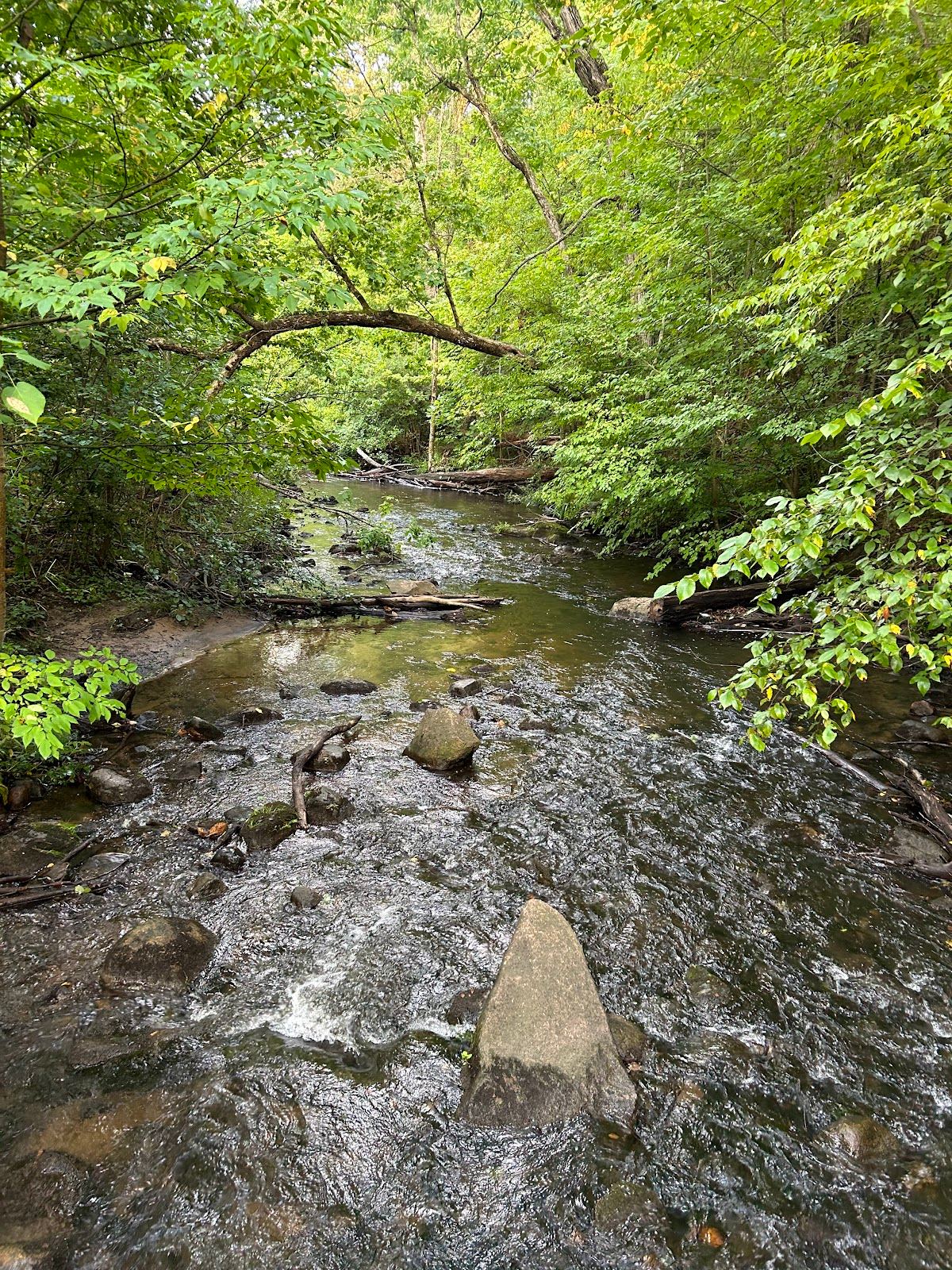 Seidman Park
