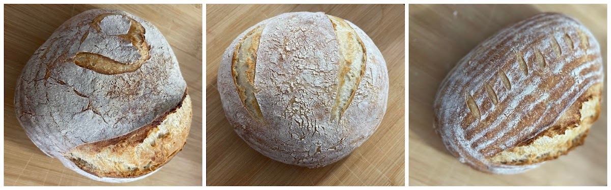 The Crumb Baker