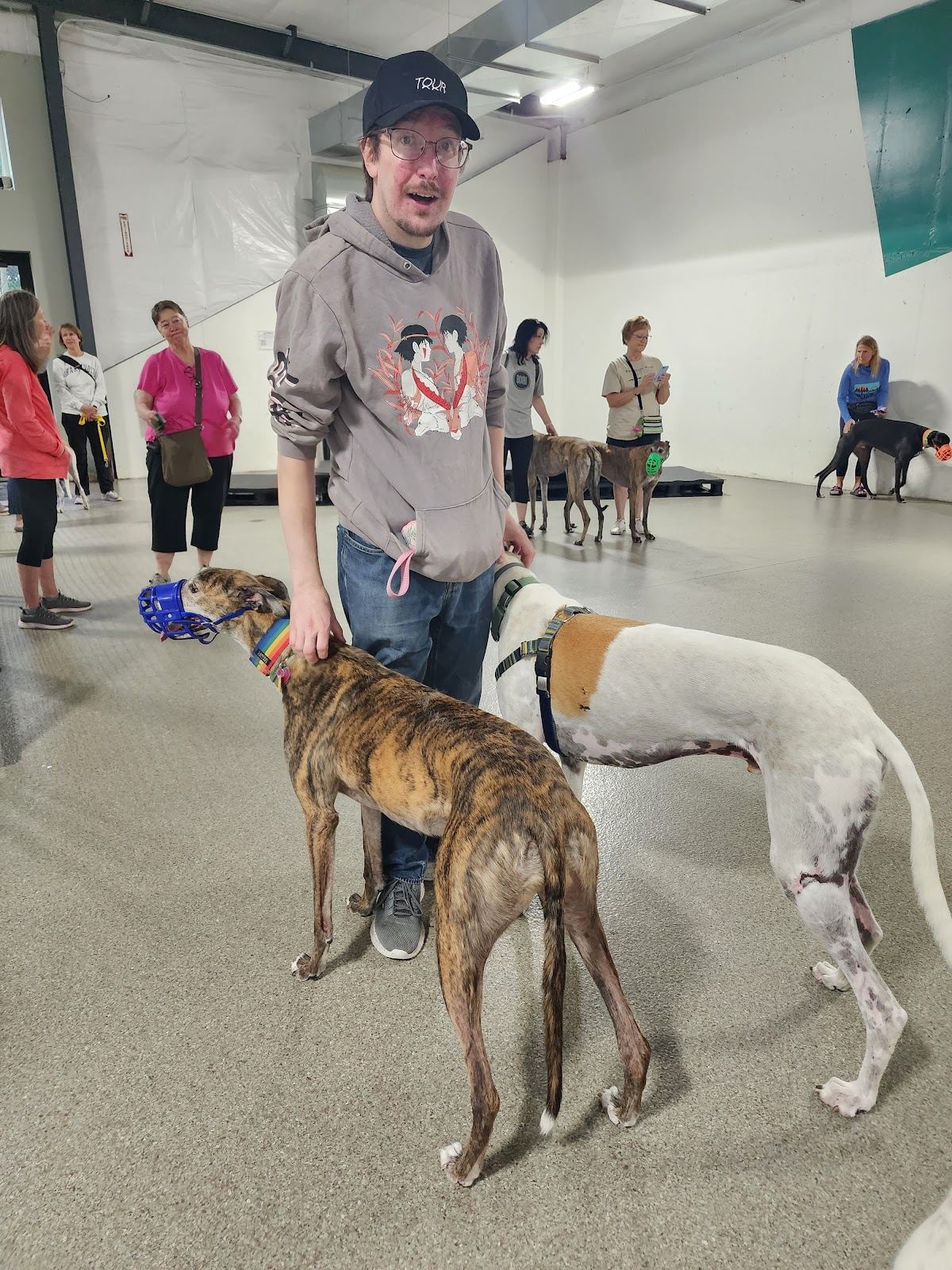The Pack Indoor Dog Park, Restaurant and Bar