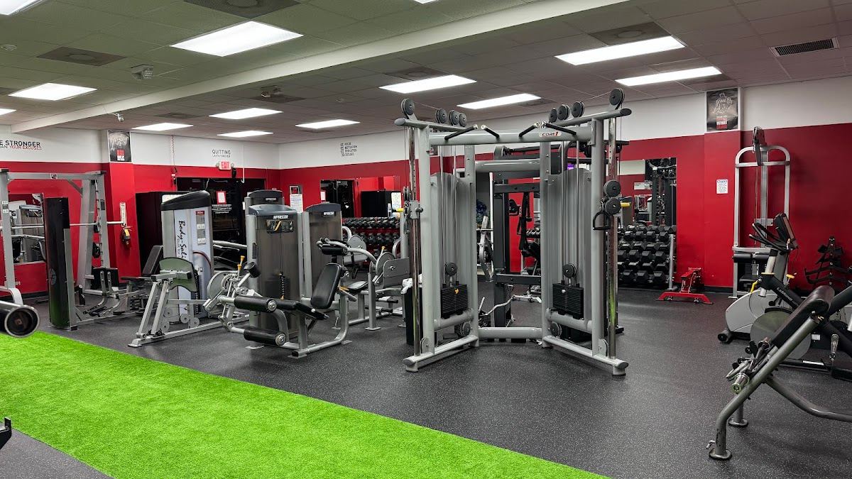 24fitness Elite