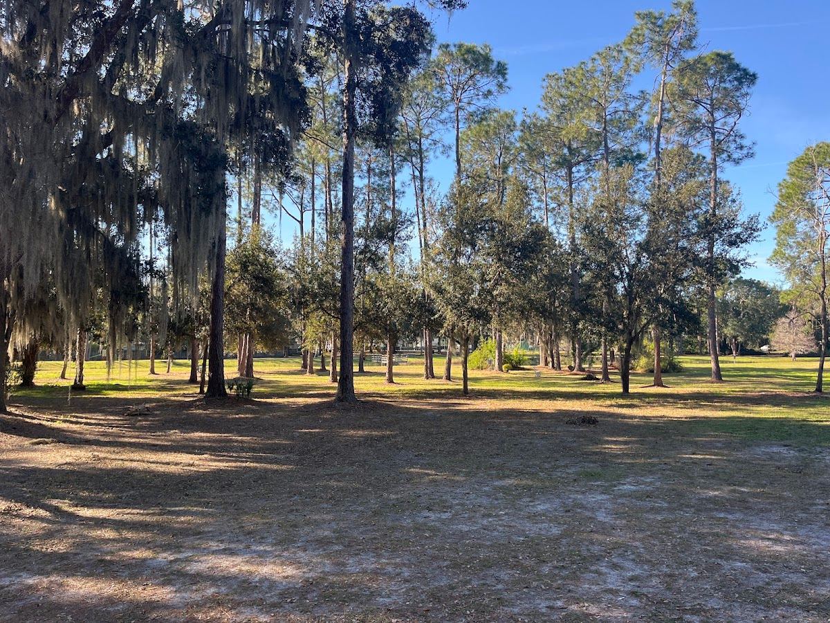 Aesops Park