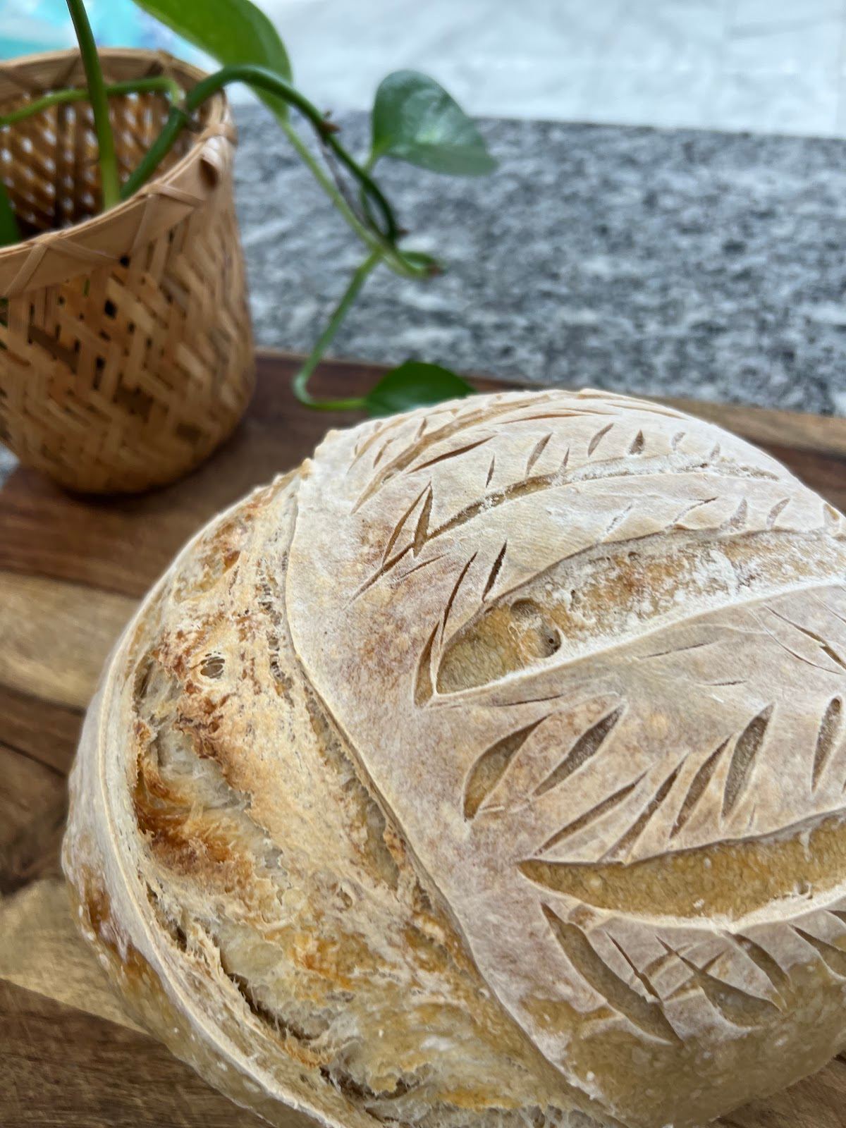 Bella Crust Bakery - Online orders