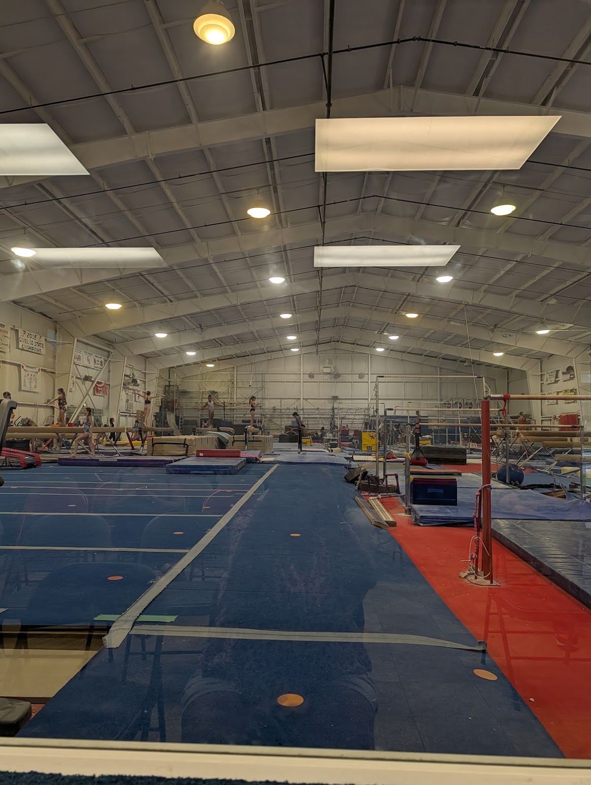 Brandy Johnson's Global Gymnastics