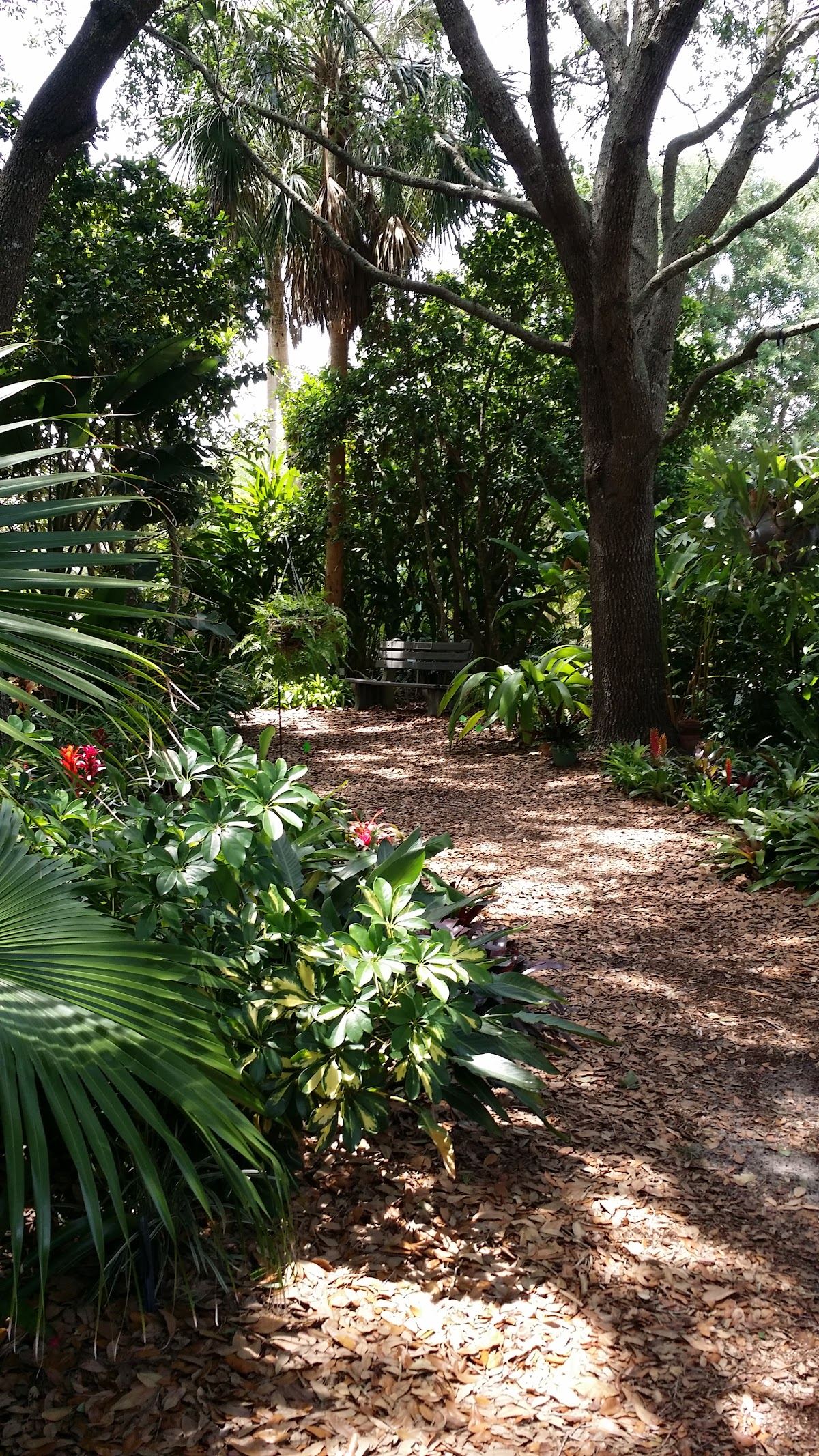Discovery Gardens