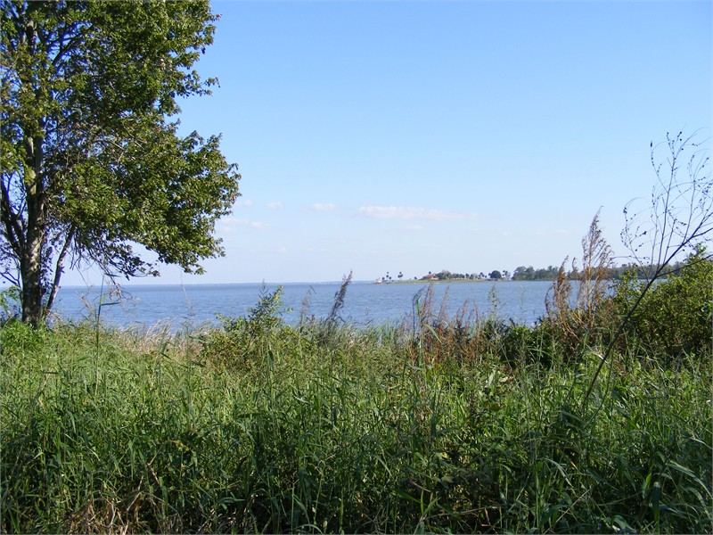 Ferndale Preserve