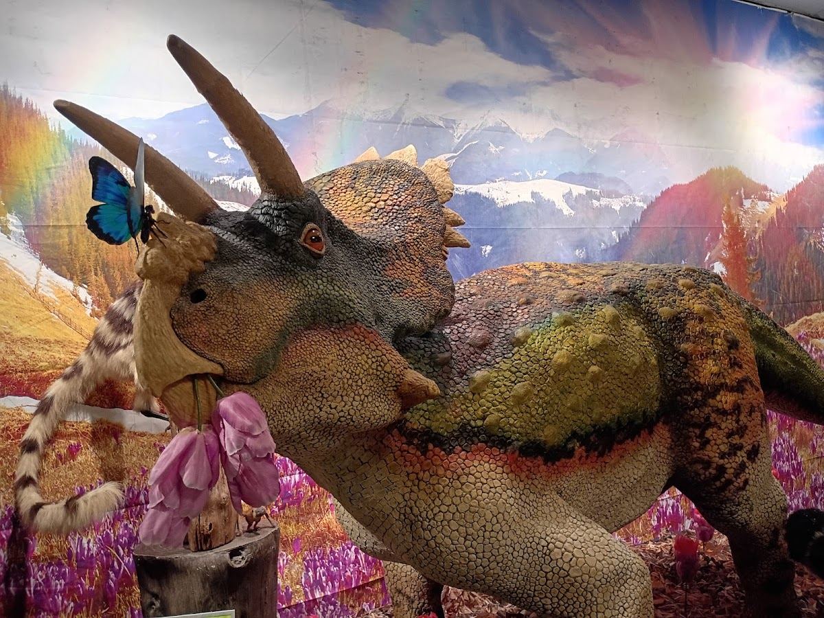 Jurassic Mall Exhibit
